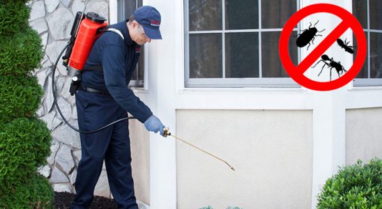 İnegöl Dezenfeksiyon böcek ilaçlama ve haşere kontrolü — ilaclama-tr.com